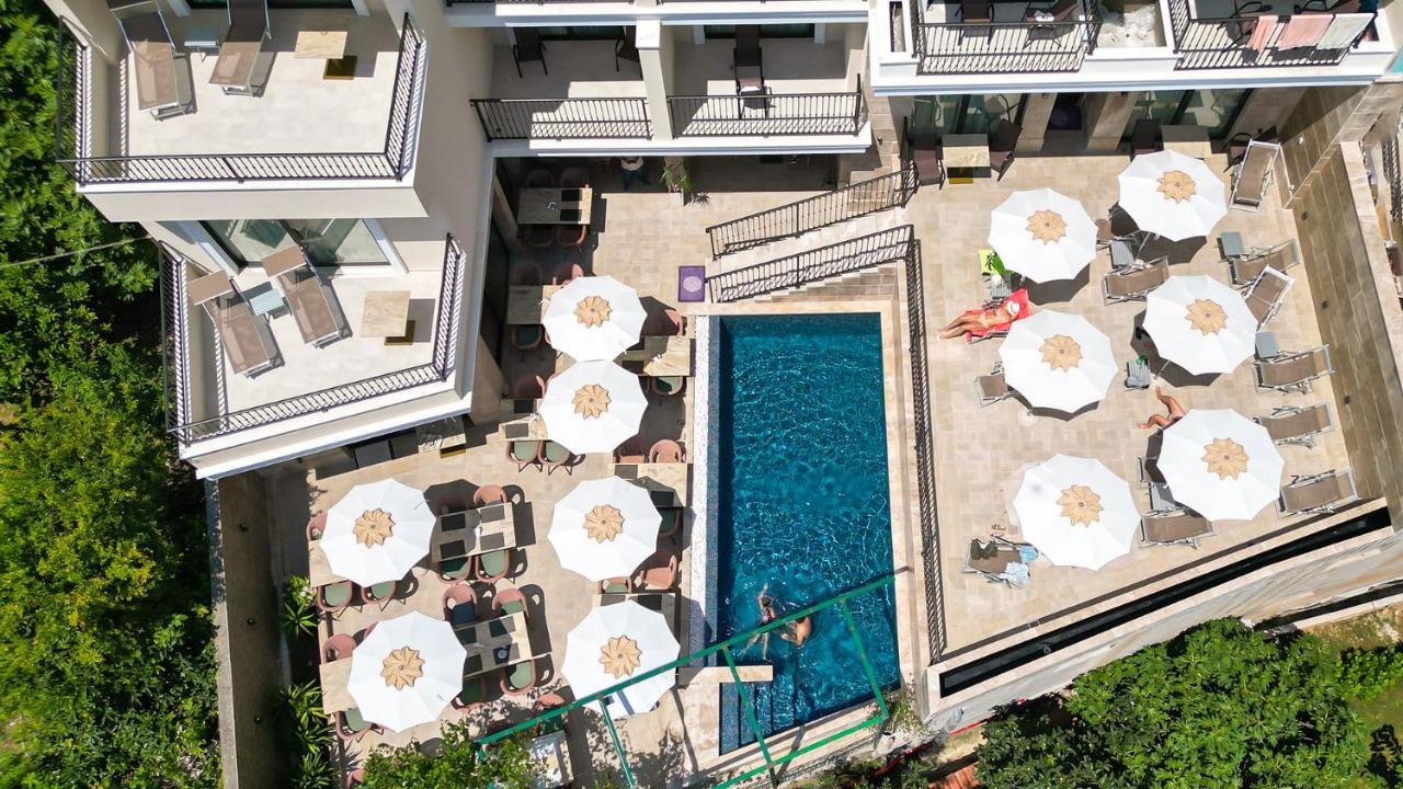 Pima Budva